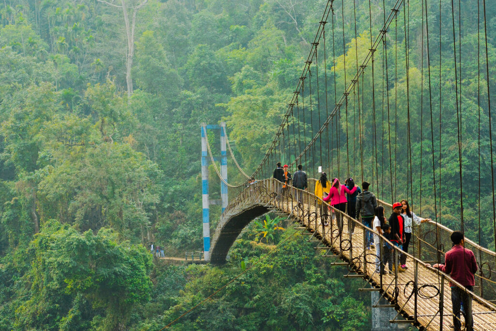 Scenic landscapes Best of Meghalaya featuring waterfalls, living root bridges, and lush green hills.