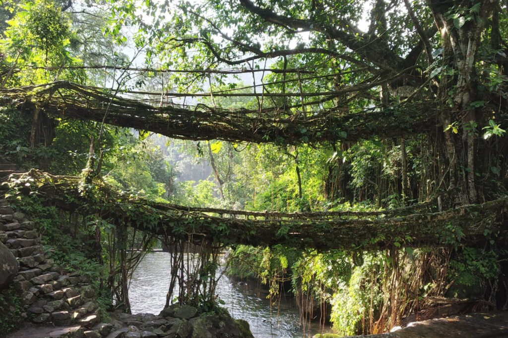 Breathtaking landscapes of Mystic Meghalaya, featuring lush green hills, cascading waterfalls, and serene living root bridges.