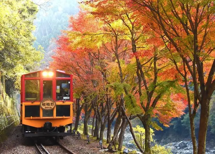 A scenic Japan view of Mount Fuji, Kyoto’s hidden temples, and Tokyo’s secret gems.