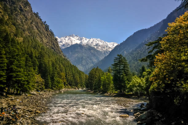 Snowy peaks and pine forests in Manali, Himachal Pradesh