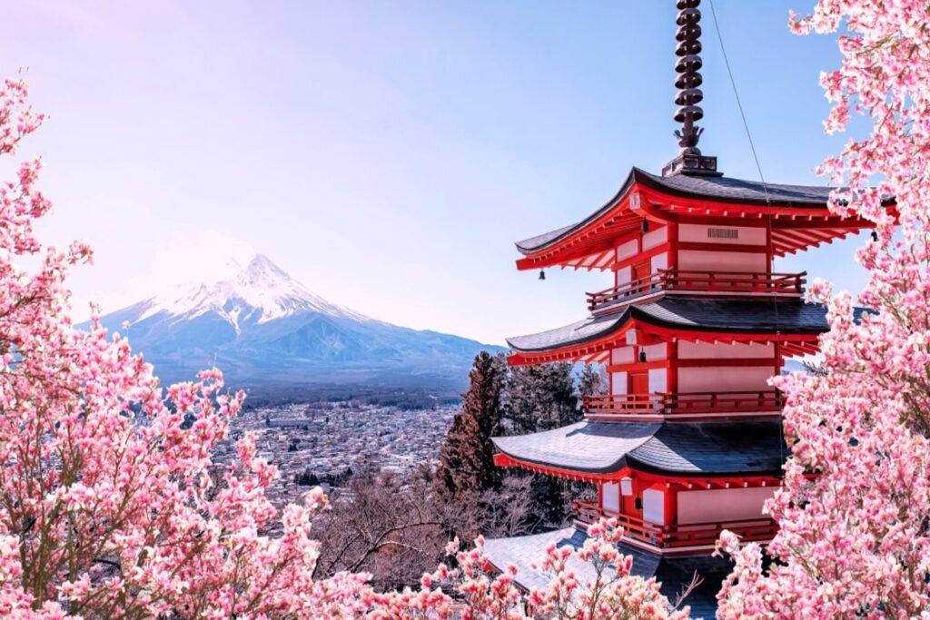 Cherry Blossom of Japan tour package with Mount Fuji and temples
