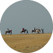 Go Global Vacations client review for Vietnam group tour experience